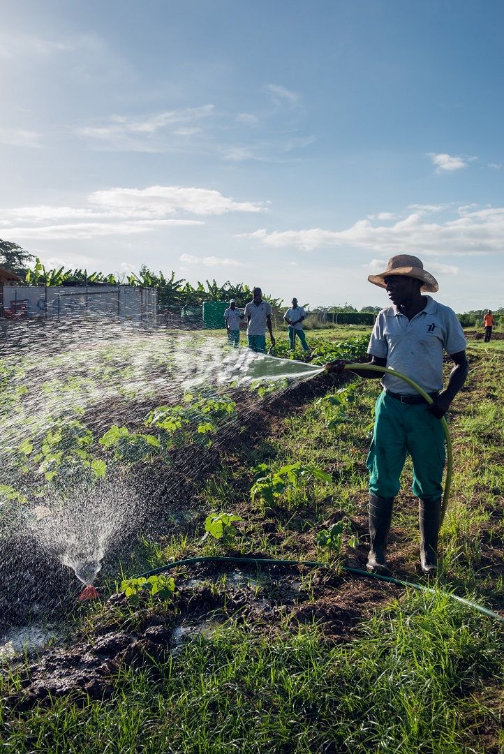 Irrigation infrastructure