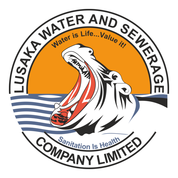 LuWSI logo
